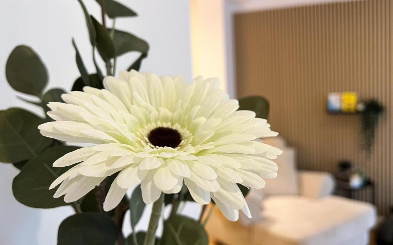 Modernes Studio Appartement Mit Leseecke Gernsbach Exteriör bild